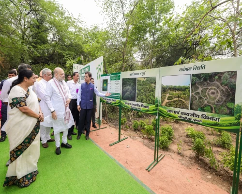 Amit Shah launches Delhi’s 70 lakh tree mission with citywide plantation drive
